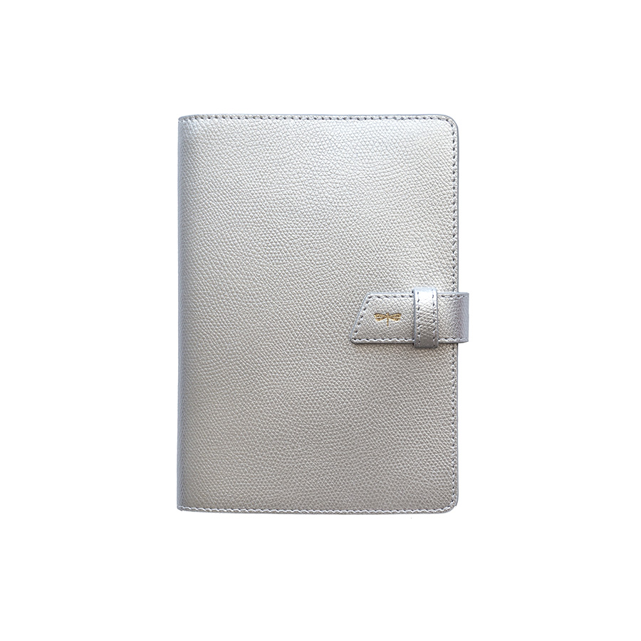 FRIDAY MINI Silver leather case
